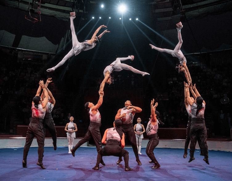 Beyond Acrobats: The Casselly Family's Diverse Circus Spectacle and Legacy
